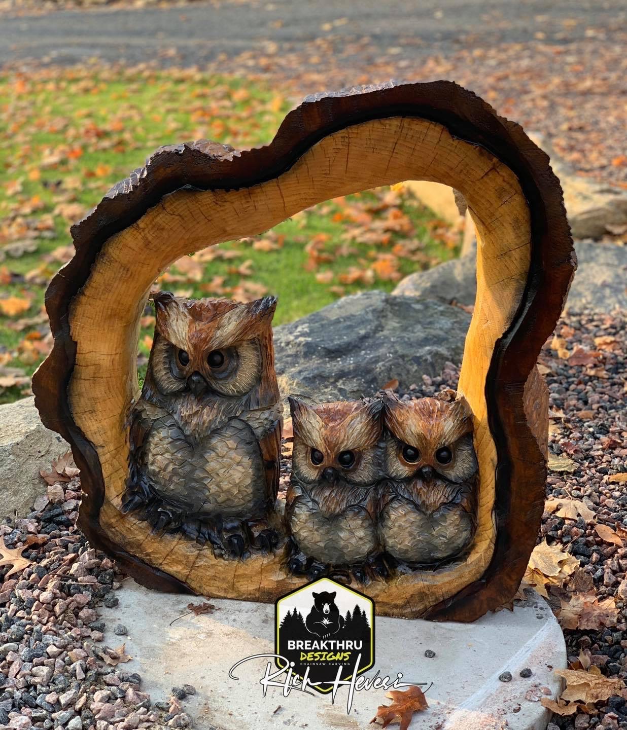 Featured image for “Owls in Hollow”