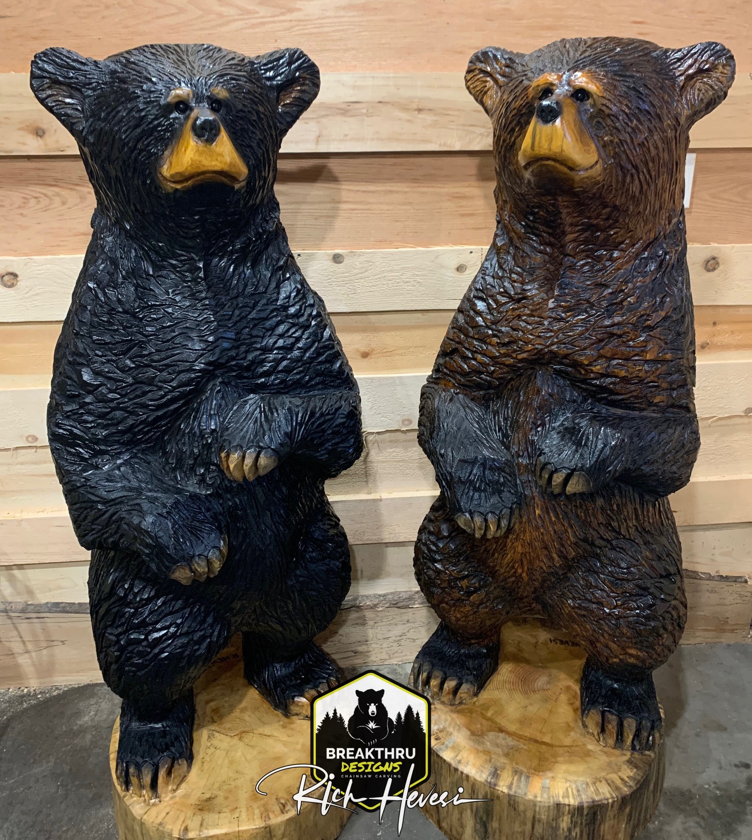 Featured image for “5 Foot Bears”