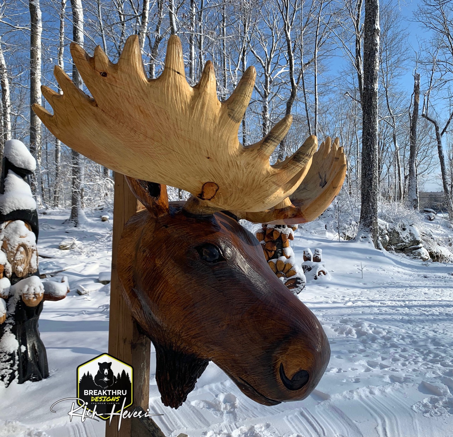 Featured image for “Moose Bust”