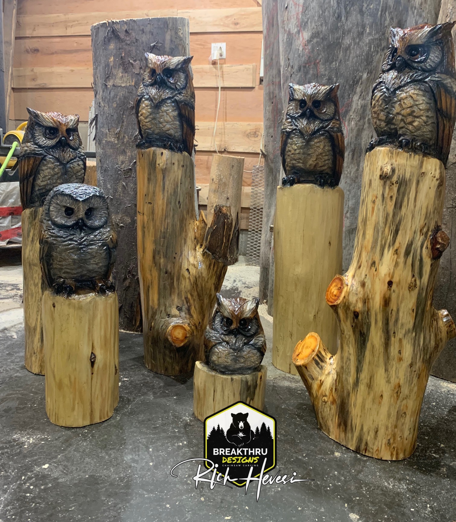 Featured image for “Multiple Owl Carvings”